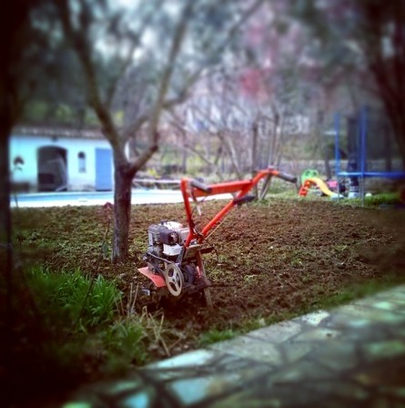 jardin.jpg
